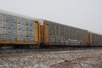 TTGX 255334